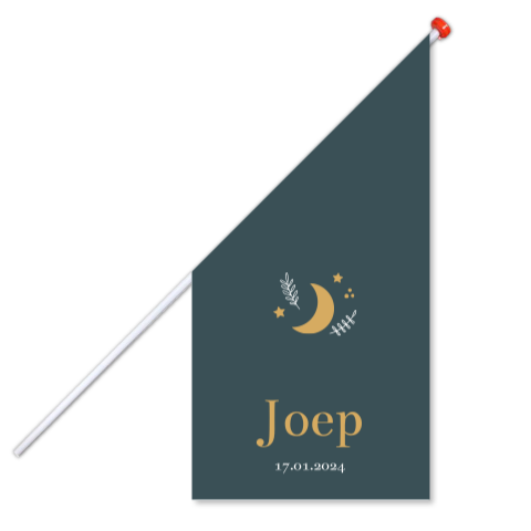 Geboortevlag klein geboortekaartje Joep groen maan takjes