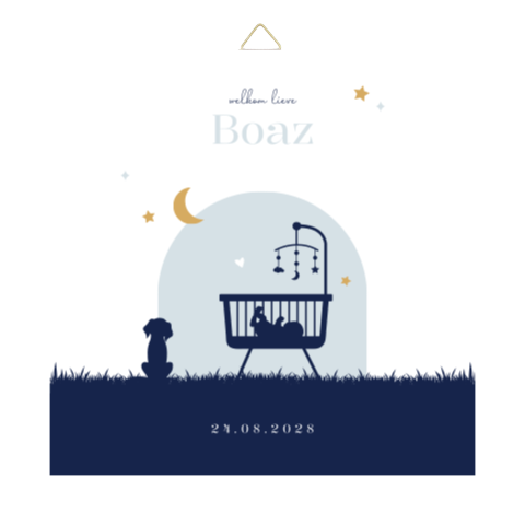 Tegeltje geboortekaartje Boaz wiegje silhouet