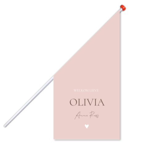 Geboortevlag klein geboortekaartje Olivia roze modern