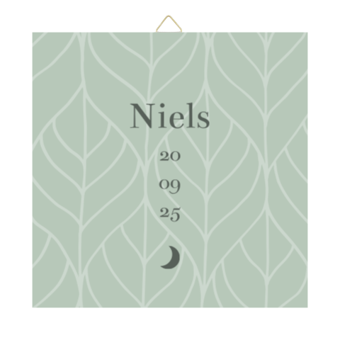 Tegeltje geboortekaartje Niels groen botanisch