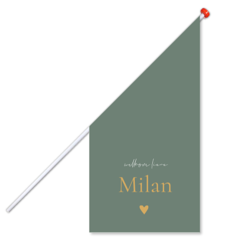Geboortevlag klein geboortekaartje Milan groen goud hartje