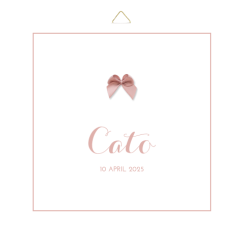 Tegeltje geboortekaartje Cato strikje