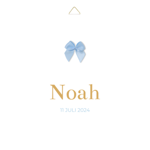 Tegeltje geboortekaartje Noah wit strikje 