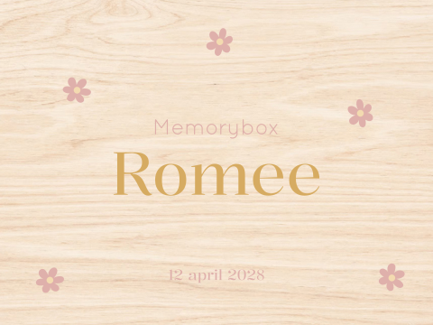 Memory box baby geboortekaartje Romee takjes