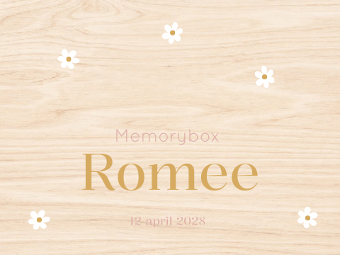 Memory box baby geboortekaartje Romee takjes