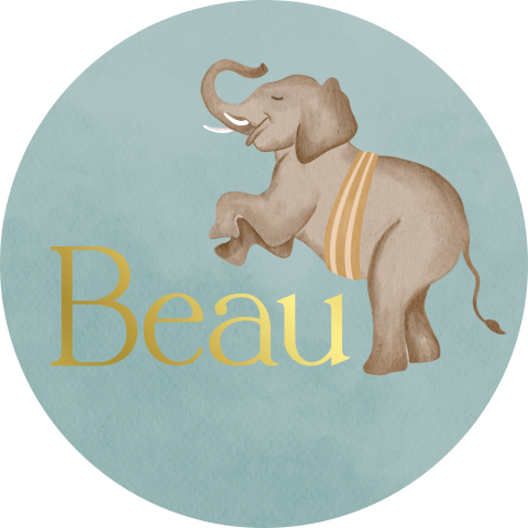 Sticker Olifant Blauwe Achtergrond Naam Goudfolie