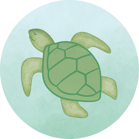 Sluitsticker Schildpad Groen Blauwe Achtergrond