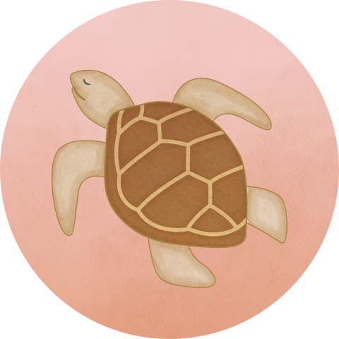 Sluitsticker Schildpad Roze Terra Achtergrond