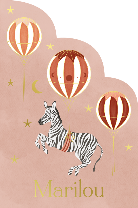 Geboortekaartje Unieke Vorm Zebra Luchtballonnen Roze