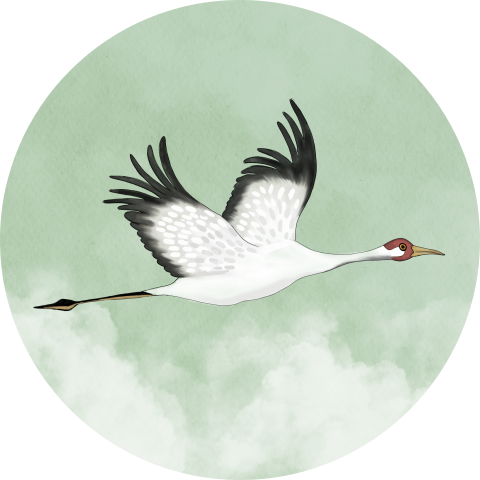Sluitsticker Kraanvogel Groen Wolken Achtergrond