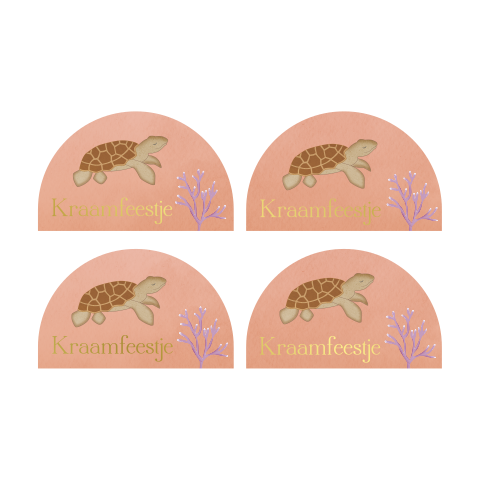 Kraamborrel Kaartje Boogvorm Schildpad Zeedieren Koraal