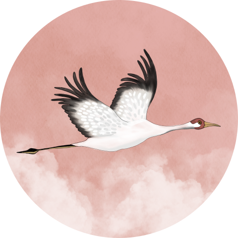 Sluitsticker Kraanvogel Roze Wolken Achtergrond