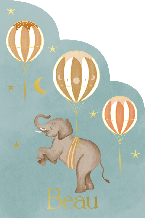 Geboortekaartje Unieke Vorm Olifant Luchtballonnen Blauw