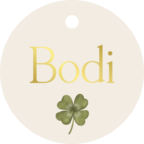 Rond labeltje met klavertje vier naam goudfolie