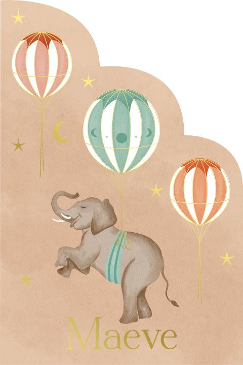 Geboortekaartje Unieke Vorm Olifant Luchtballonnen Peach