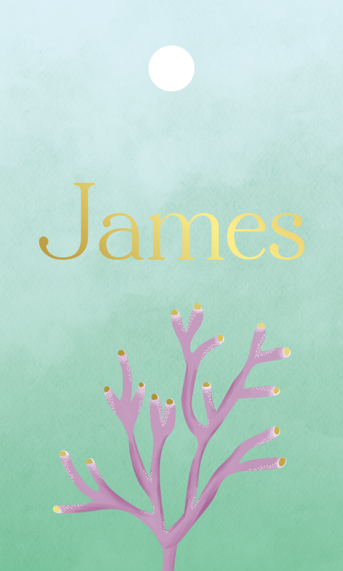 Label Zeethema Koraal Lila Zeeblauw Groen Folie 30 x 50mm