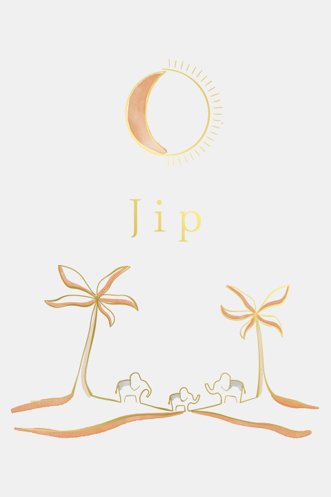 Geboortekaartje Lijnen Illustratie Olifantjes Palmbomen Maan in Zon