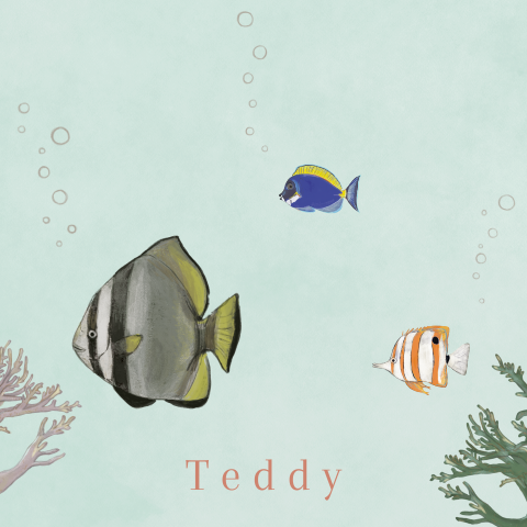 Poster Tropische vissen zeeanemoon