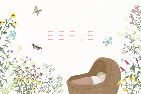 Poster Veldbloemen rieten mandje vlinders