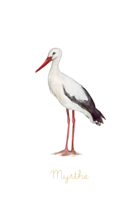 Geboortekaartje Ooievaar