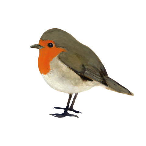 Sluitzegels Roodborstje