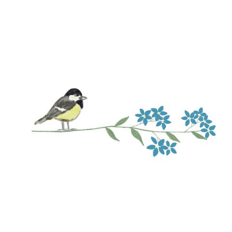 Sluitzegels Koolmees vergeet-me-nietje