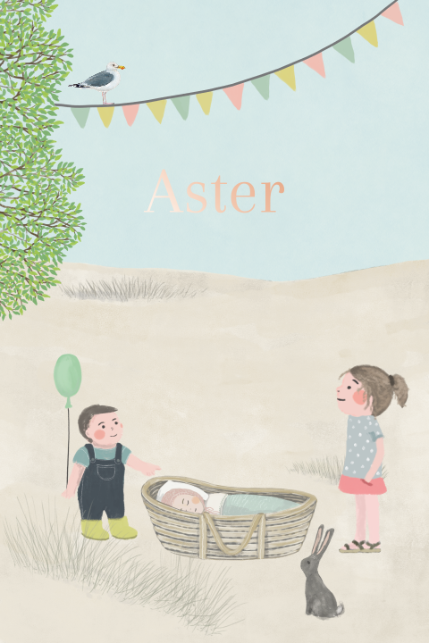 Geboortekaartje Zusje broer zus strand rotan mandje