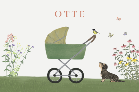 Geboortekaartje wandelwagen Duitse teckel zomerbloemen
