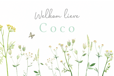 Raambord Veldbloemen waterverf