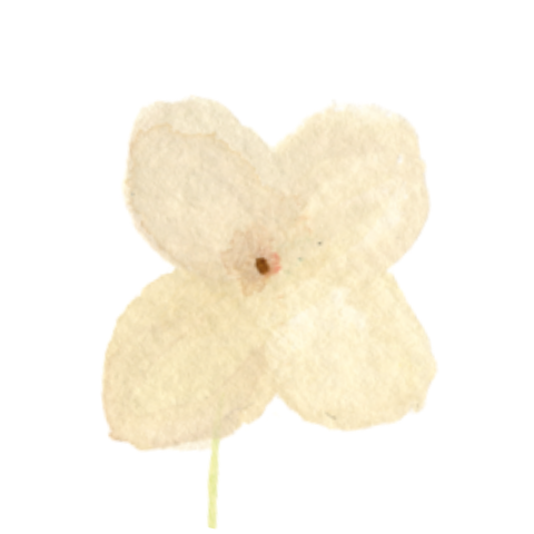 Sluitzegels Hortensia