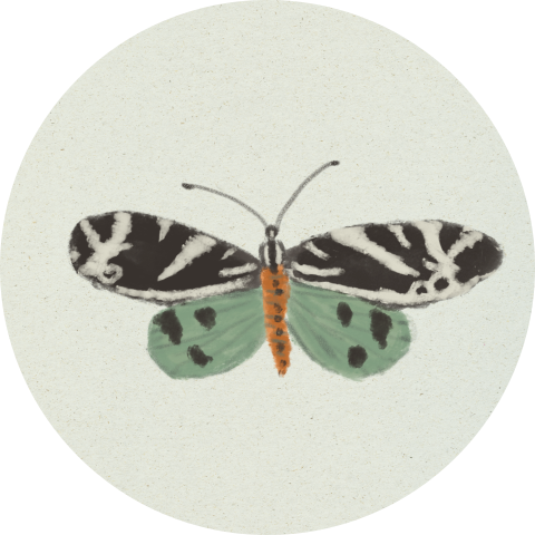 Sluitzegel Vlinder oudgroen