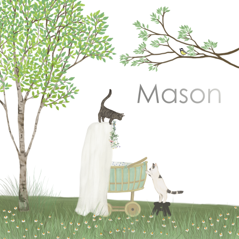 Poster Rotan wieg huisdier katten berkenboom lente