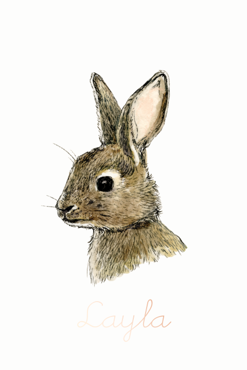 Poster Konijntje inkt