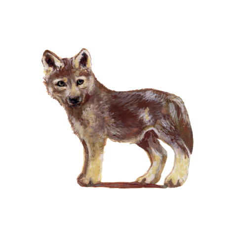 Sluitzegels Jonge wolf