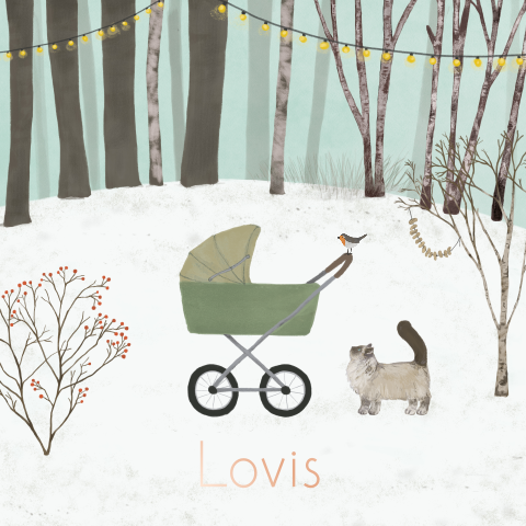 Geboortekaartje bos winter kinderwagen met Ragdoll kat