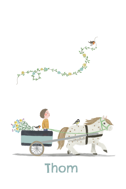 Geboortekaartje ponywagentje broer bloemen