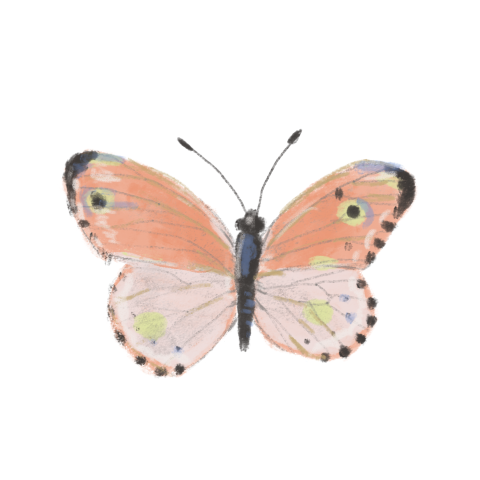 Sluitzegels Vlinder zalmroze