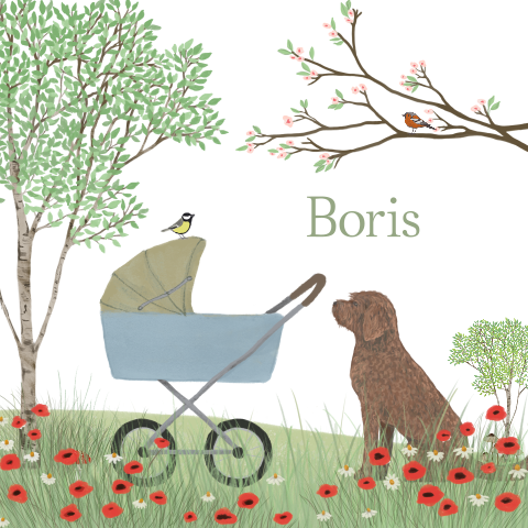 Tegeltje kinderwagen Labradoodle klaprozen lente