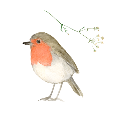 Sluitzegels Roodborstje aquarel en bloem