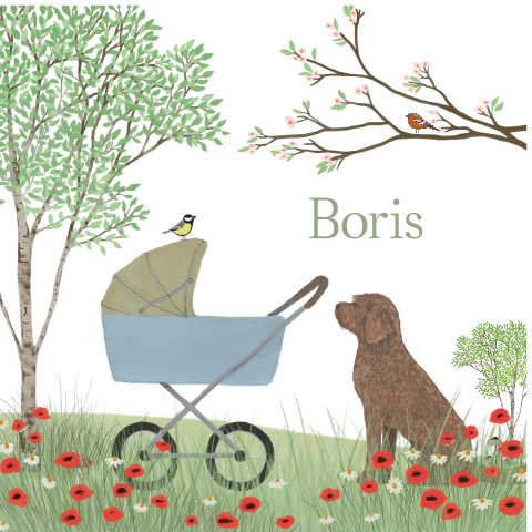 Raambord kinderwagen Labradoodle klaprozen lente