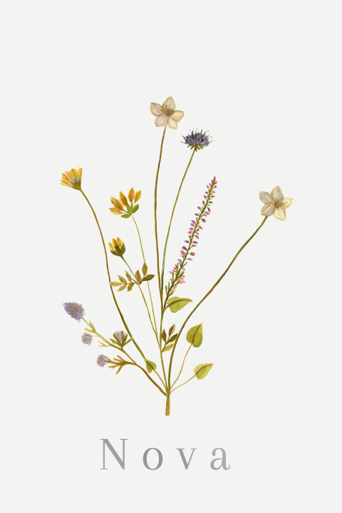 Geboortekaartje Veldbloemen waterverf lila