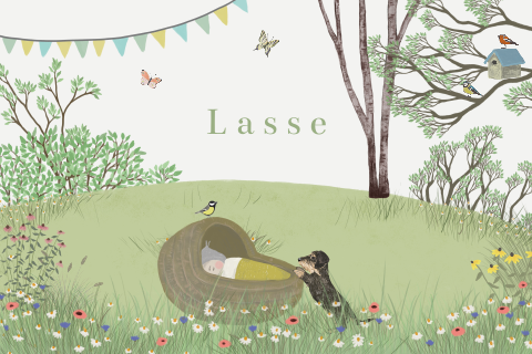 Geboortekaartje Duitse teckel bloemenweide vlinders zomer