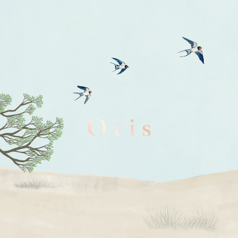 Poster Zwaluwen strand zomer koperfolie