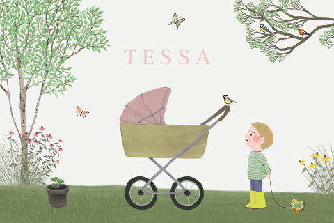 Geboortekaartje Zusje broer kinderwagen vlinders zomer