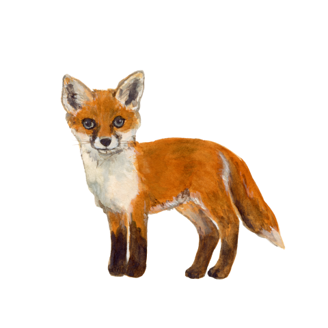 Sluitzegels Jonge vos