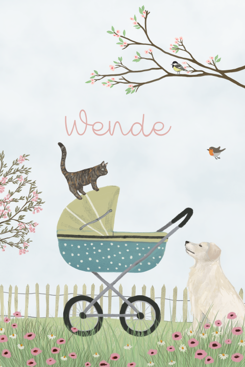 Geboortekaartje vintage kinderwagen klaproos kat en hond