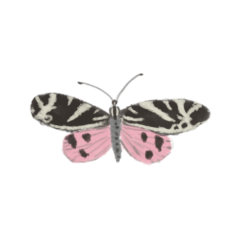 Sluitzegels Vlinder roze