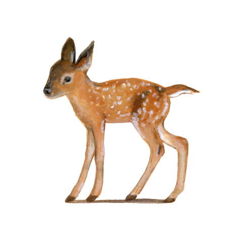 Sluitzegels Jong edelhert