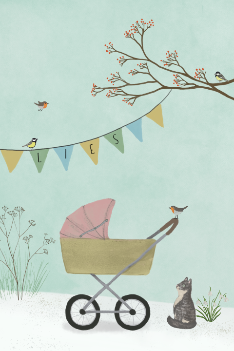 Geboortekaartje kinderwagen poes winter