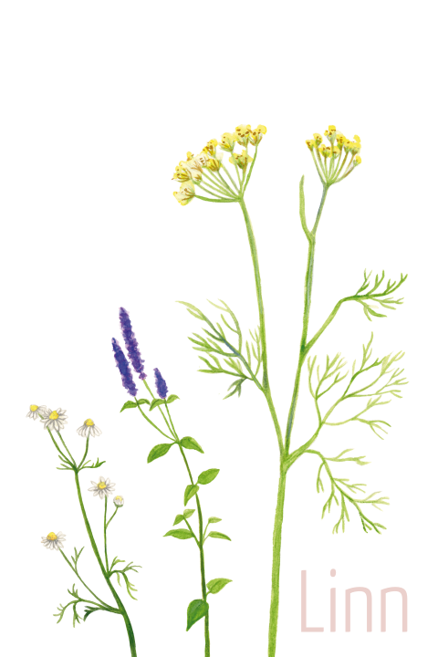 Geboortekaartje thee bloemen waterverf
